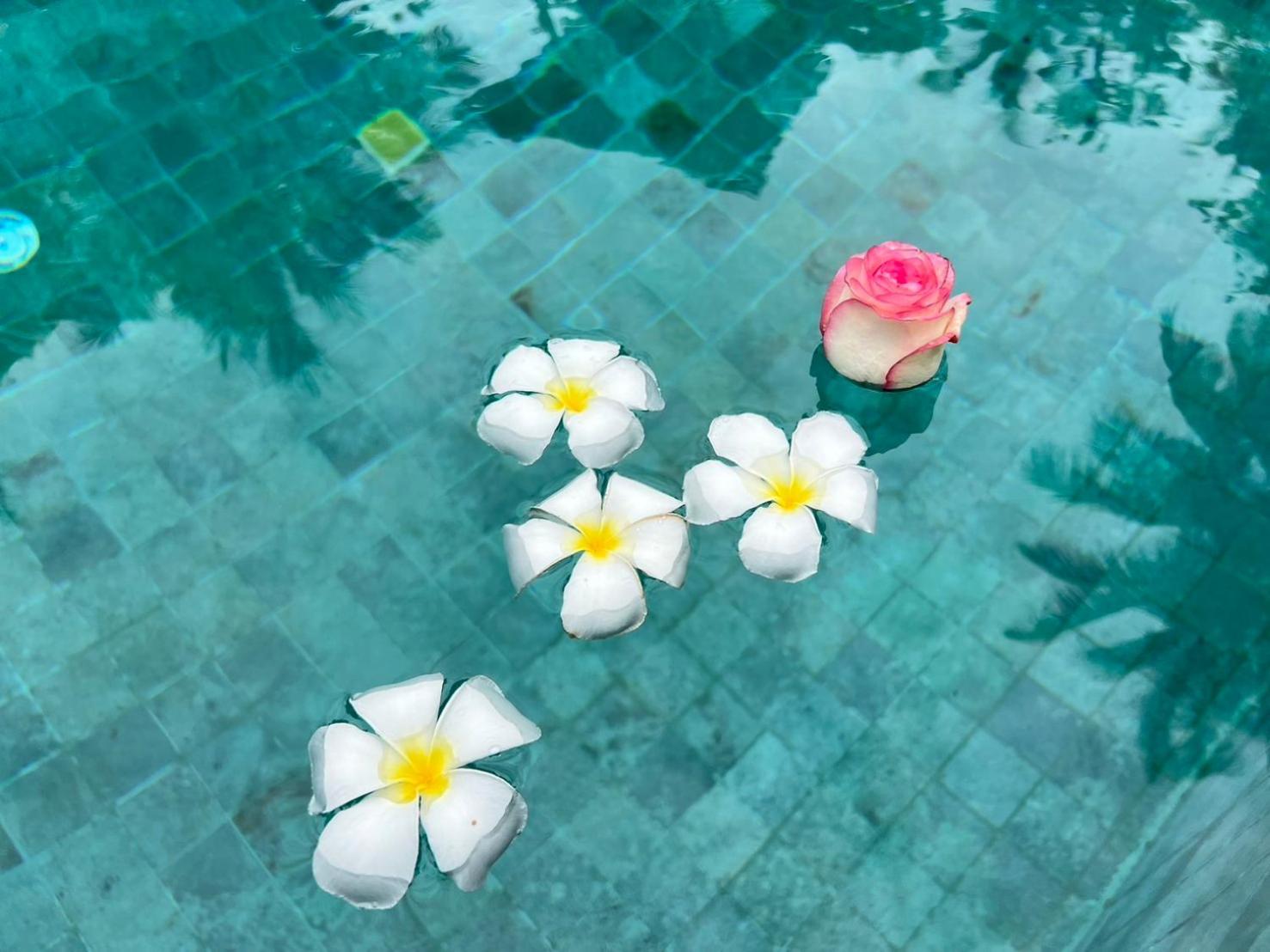 Chill Lay Resort Donsak Don Sak Dış mekan fotoğraf